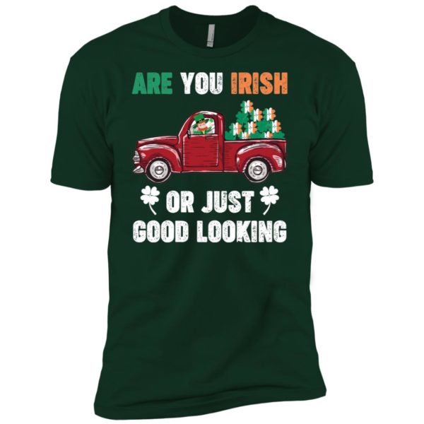 St. Patrick Day Irish Are You Good Looking Shirt