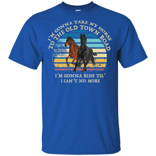 I'm Gonna Take My Horse Old Town Road Shirt