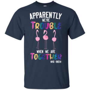 Flamingos Apparently We're Trouble When We Are Together Who Knew Shirt