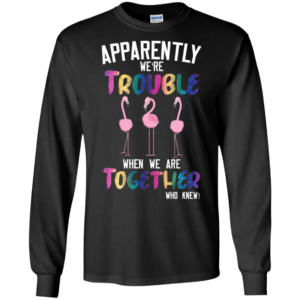 Flamingos Apparently We're Trouble When We Are Together Who Knew Shirt