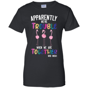 Flamingos Apparently We're Trouble When We Are Together Who Knew Shirt