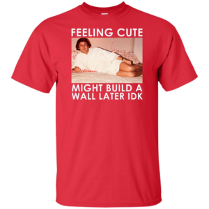 Feeling Cute Might Build a Wall Later Idk Shirt