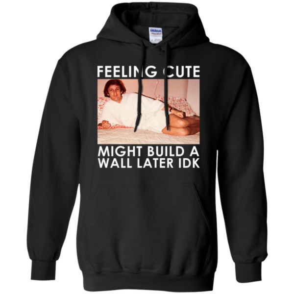 Feeling Cute Might Build a Wall Later Idk Shirt