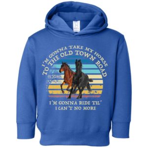 I'm Gonna Take My Horse Old Town Road Youth Shirt