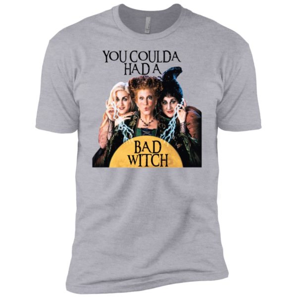 You Coulda Had A Bad Witch Funny Halloween Shirt