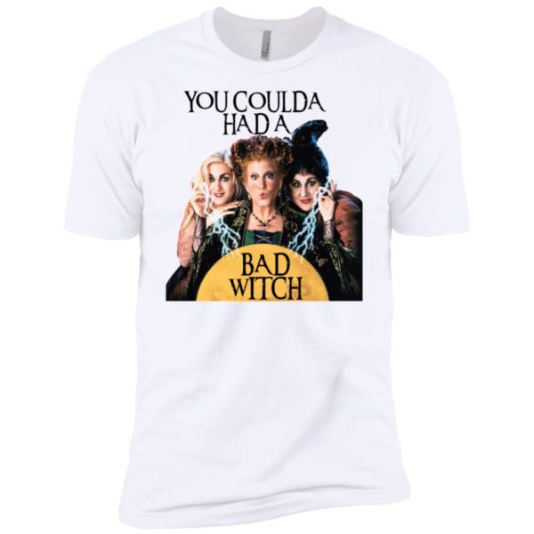 You Coulda Had A Bad Witch Funny Halloween Shirt