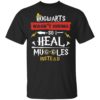 Hogwarts Wasn’t Hiring So I Heal Muggles Instead Shirt