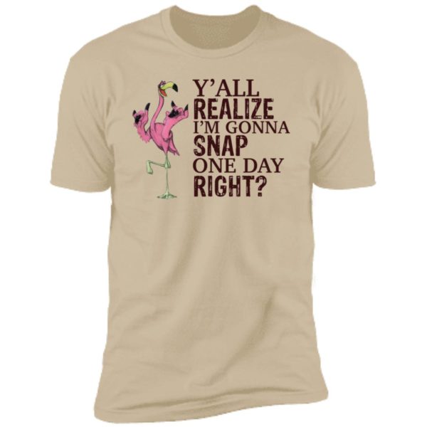 Flamingo Y'all Realize I'm Gonna Snap One Day Right Shirt