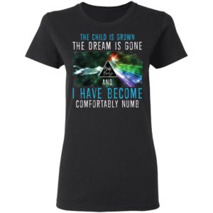 The Child Is Grown The Dream Is Gone And I Have Become Comfortably Numb Pink Floyd Shirt image The Child Is Grown The Dream Is Gone And I Have Become Comfortably Numb Pink Floyd Shirt