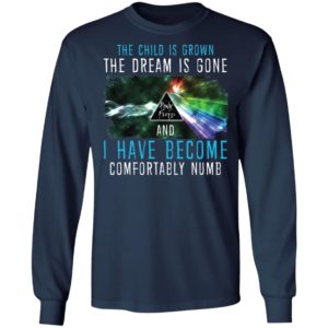 The Child Is Grown The Dream Is Gone And I Have Become Comfortably Numb Pink Floyd Shirt image The Child Is Grown The Dream Is Gone And I Have Become Comfortably Numb Pink Floyd Shirt
