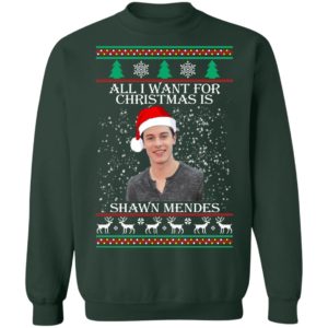 Shawn Mendes Ugly Christmas Sweatshirt