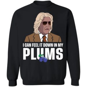 Ashley Schaeffer I Can Feel It Down In My Plums Shirt