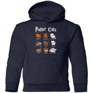 Harry Potter Cats Hairy Pawtter Youth Shirt