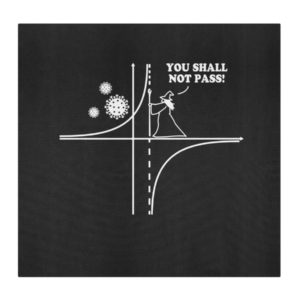 You shall not pass face mask