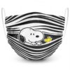 Snoopy and Woodstock Face Mask