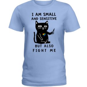 I Am Small And Sensitive Nevermind Black Cat Shirt