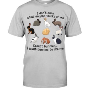 I Don't Care What Anymore Thinks Of Me Except Bunnies To Like Me Shirt image I Don't Care What Anymore Thinks Of Me Except Bunnies To Like Me Shirt