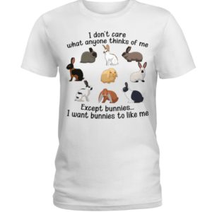 I Don't Care What Anymore Thinks Of Me Except Bunnies To Like Me Shirt image I Don't Care What Anymore Thinks Of Me Except Bunnies To Like Me Shirt