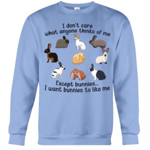 I Don't Care What Anymore Thinks Of Me Except Bunnies To Like Me Shirt image I Don't Care What Anymore Thinks Of Me Except Bunnies To Like Me Shirt
