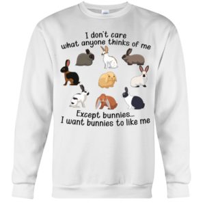 I Don't Care What Anymore Thinks Of Me Except Bunnies To Like Me Shirt image I Don't Care What Anymore Thinks Of Me Except Bunnies To Like Me Shirt