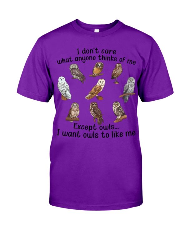 I Don't Care What Anyone Thinks Of Me Except Owl I Want Owls To Like Me Shirt