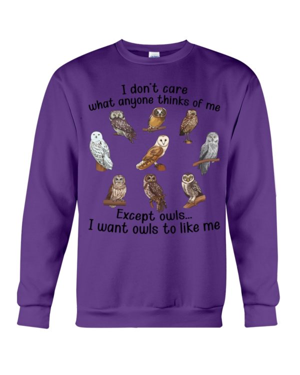 I Don't Care What Anyone Thinks Of Me Except Owl I Want Owls To Like Me Shirt