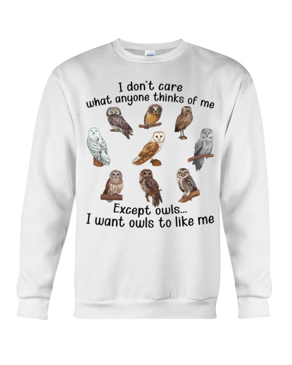 I Don't Care What Anyone Thinks Of Me Except Owl I Want Owls To Like Me Shirt