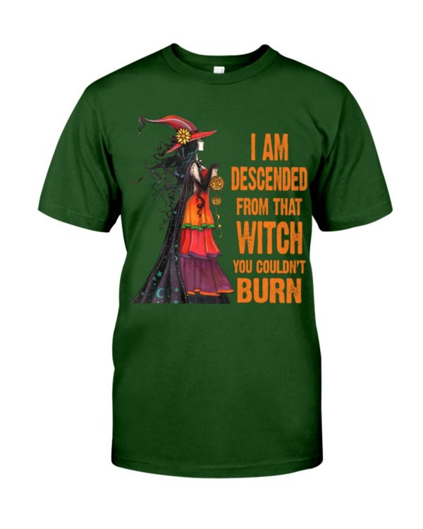 I Am Descended From That Witch You Couldn't Burn Halloween Shirt