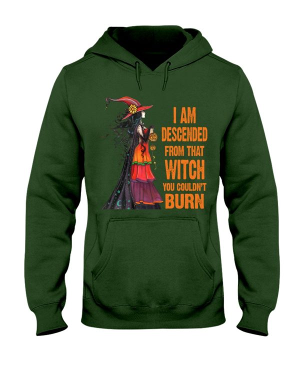 I Am Descended From That Witch You Couldn't Burn Halloween Shirt