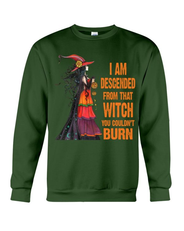 I Am Descended From That Witch You Couldn't Burn Halloween Shirt