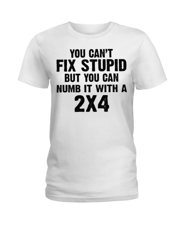 You Can't Fix Stupid But You Can Numb It With A 2x4 Shirt