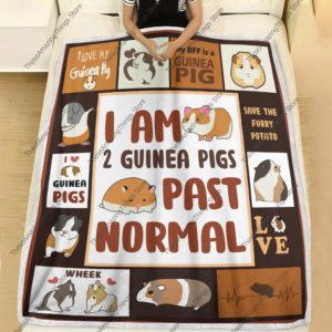 I Am 2 Guinea Pigs Past Normal Blanket