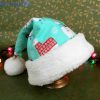 Christmas Llama Pattern Christmas Santa Hat For Adult And Child