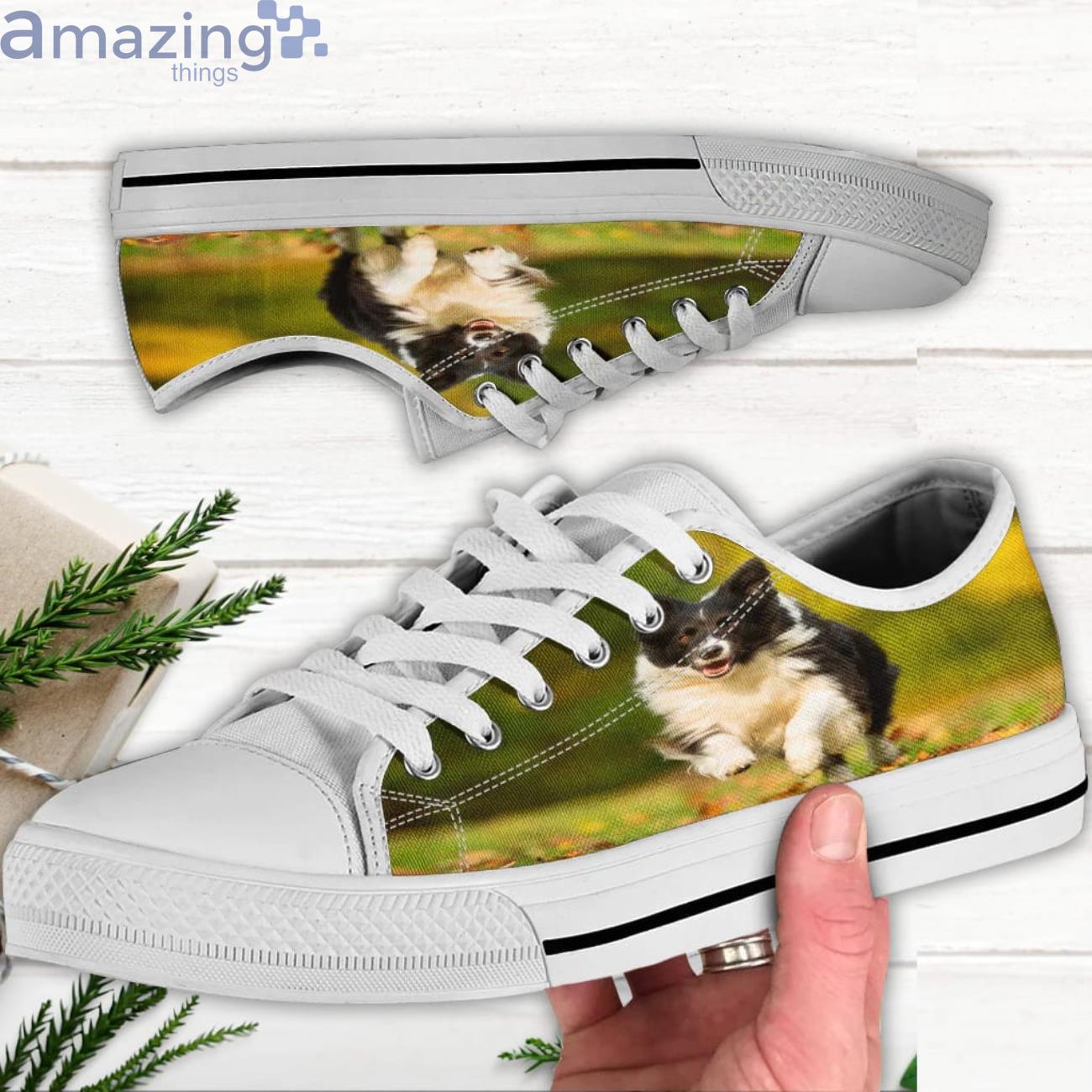 Border collie outlet shoes