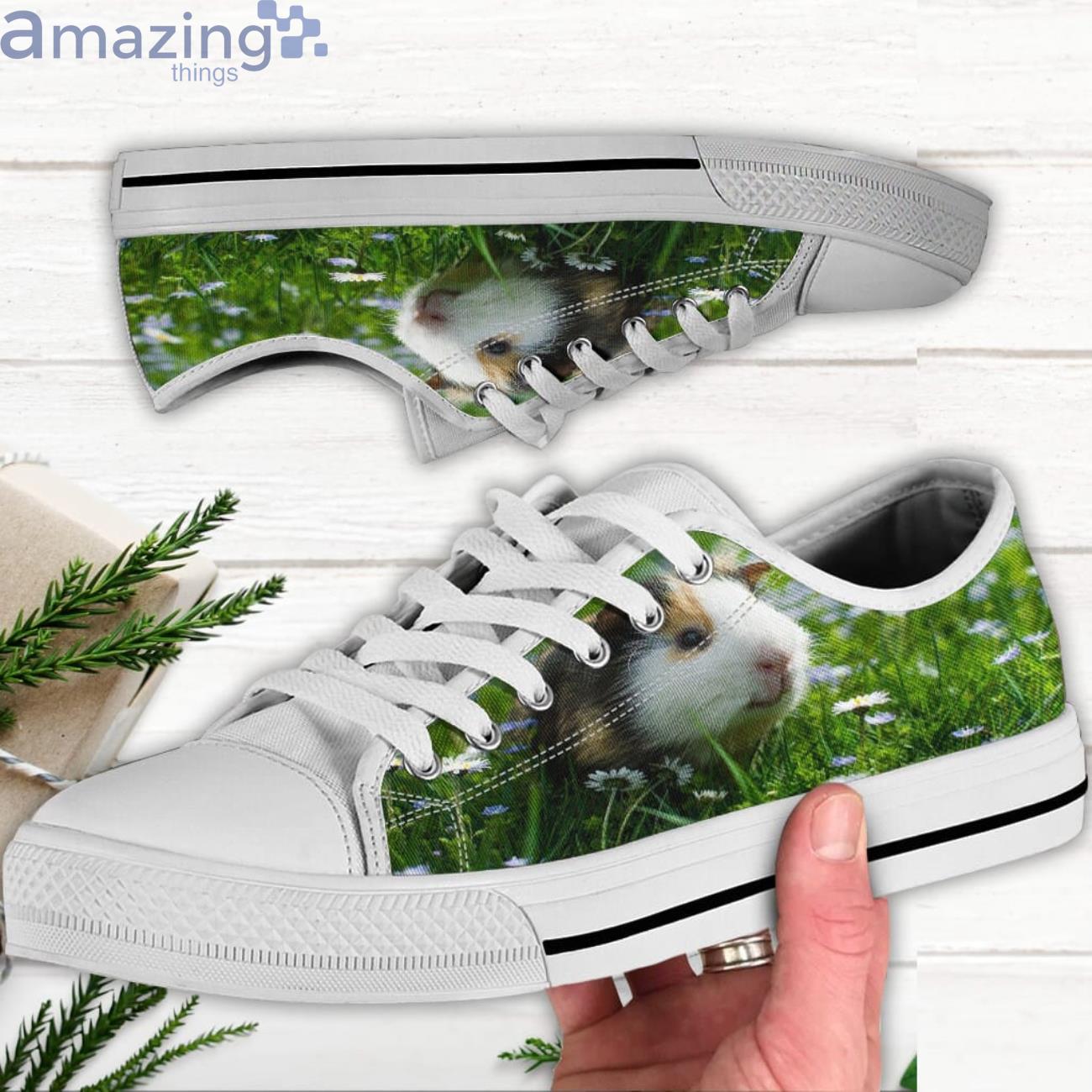 Guinea Pigs Shoes Guinea Pigs Lover Low Top Canvas Shoes Product Photo 1