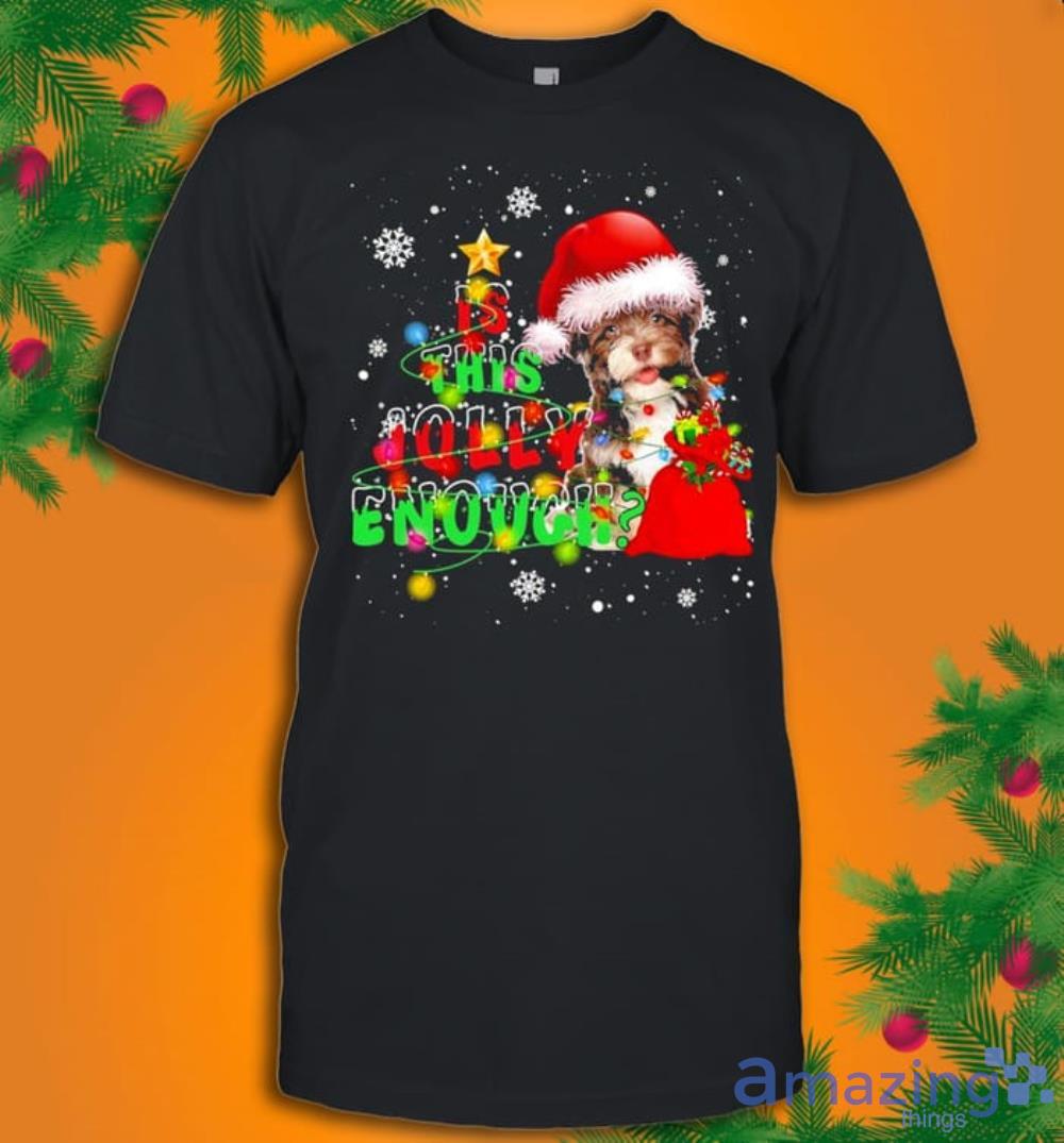 Is This Jolly Enough Merry Christmas Havanese T-Shirt Product Photo 1 Is This Jolly Enough Merry Christmas Havanese T-Shirt Product Photo 1