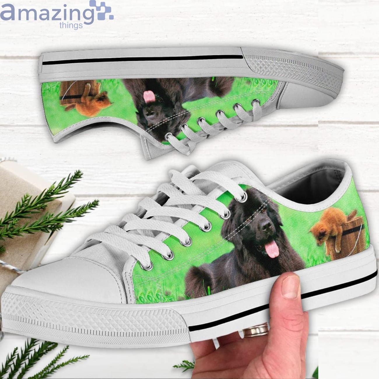 Newfoundland Low Top Canvas Shoes Newfoundland Shoes For Men And Women Product Photo 1 Newfoundland Low Top Canvas Shoes Newfoundland Shoes For Men And Women Product Photo 1