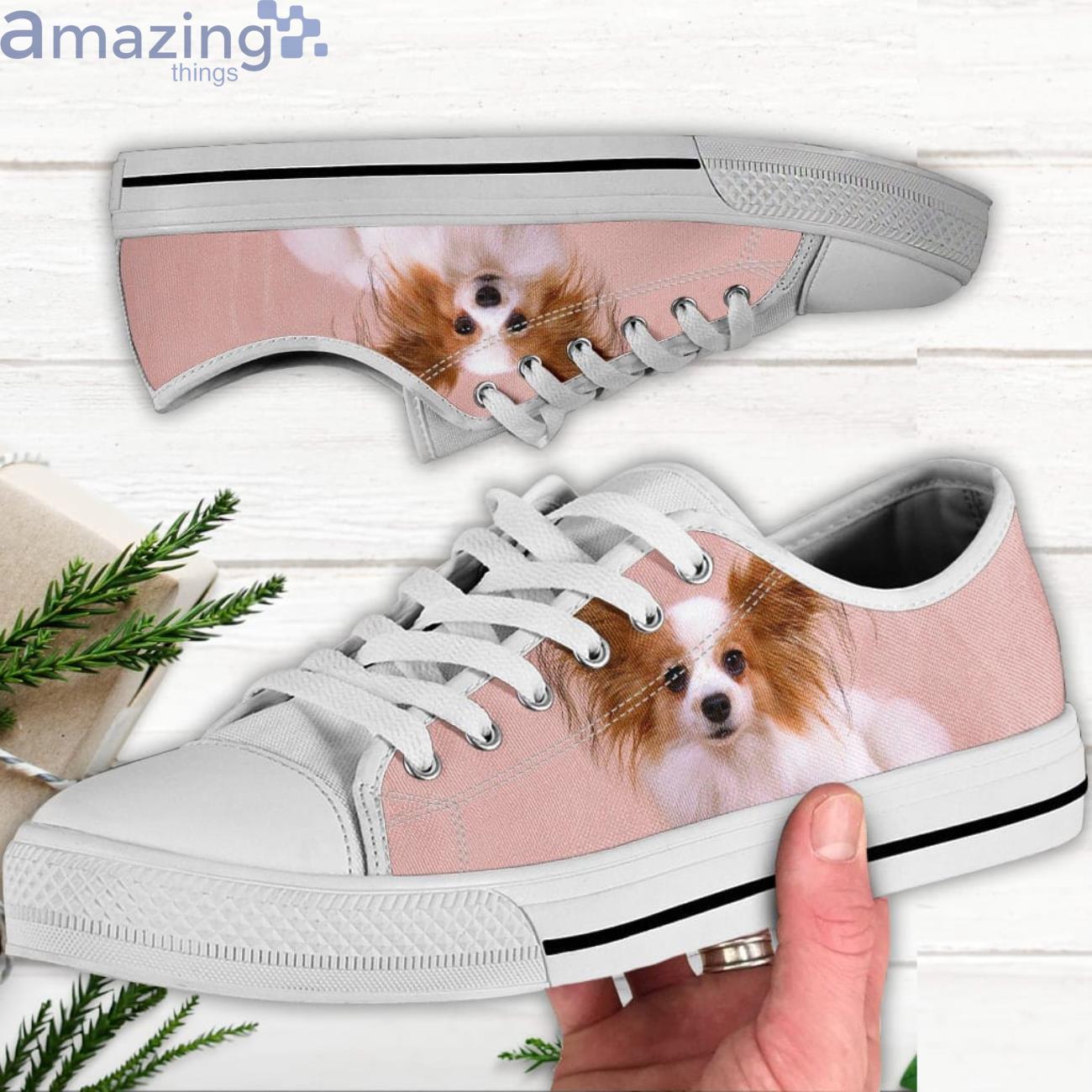 Pappilion Low Top Canvas Shoes Pappilion Shoes For Men And Women Product Photo 1 Pappilion Low Top Canvas Shoes Pappilion Shoes For Men And Women Product Photo 1