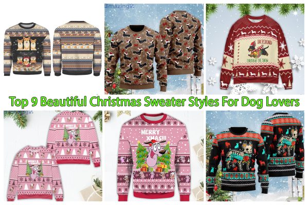 Top 9 Beautiful Christmas Sweater Styles For Dog Lovers