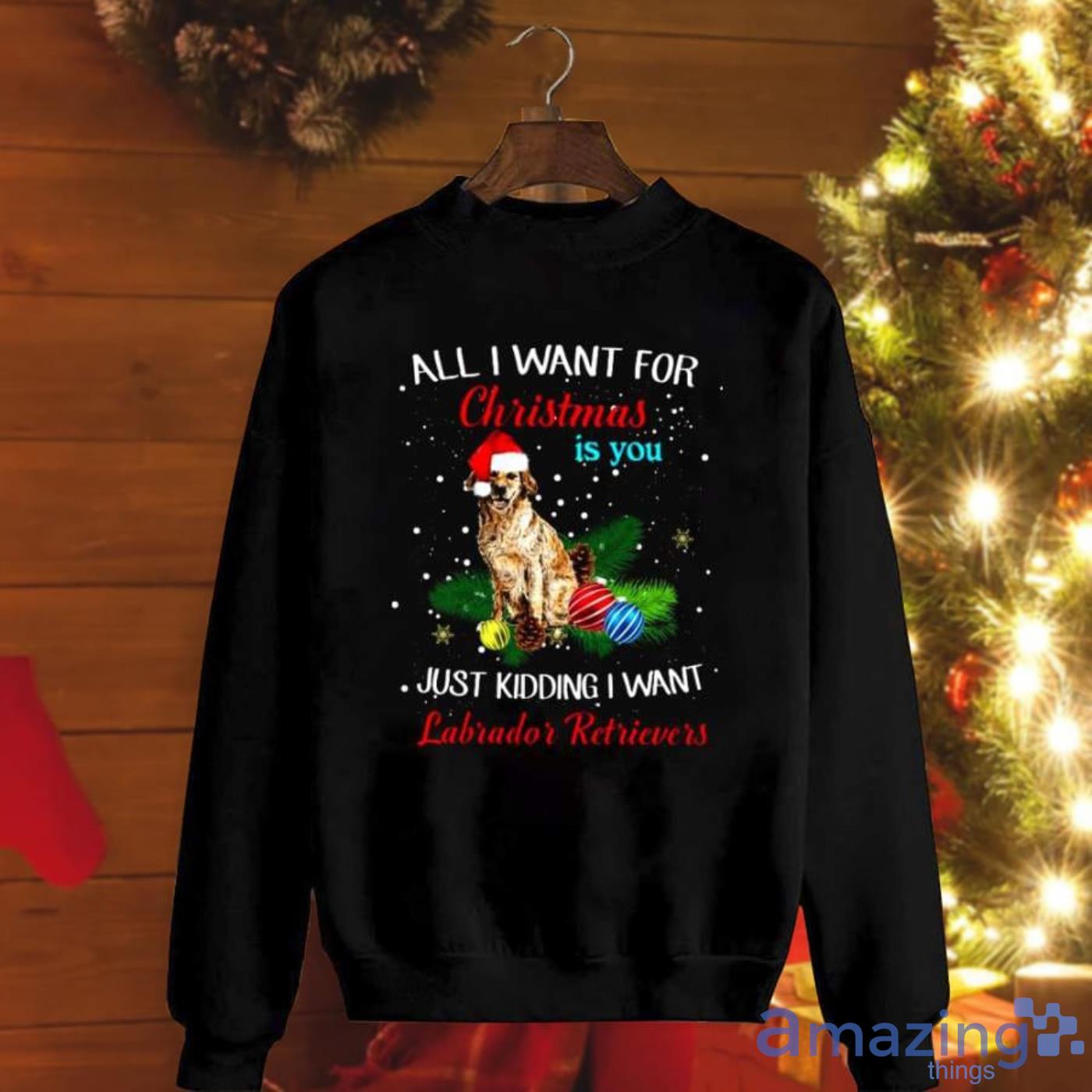 Labrador Retrievers All I Want For Christmas Is You Santa Hat Snow Christmas Sweatshirt Product Photo 1