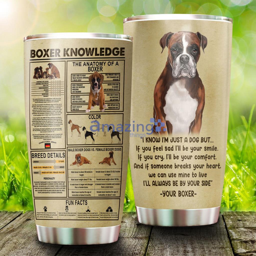 Boxer Knowledge Stainless Steel Tumbler - Boxer Knowledge Stainless Steel Tumbler