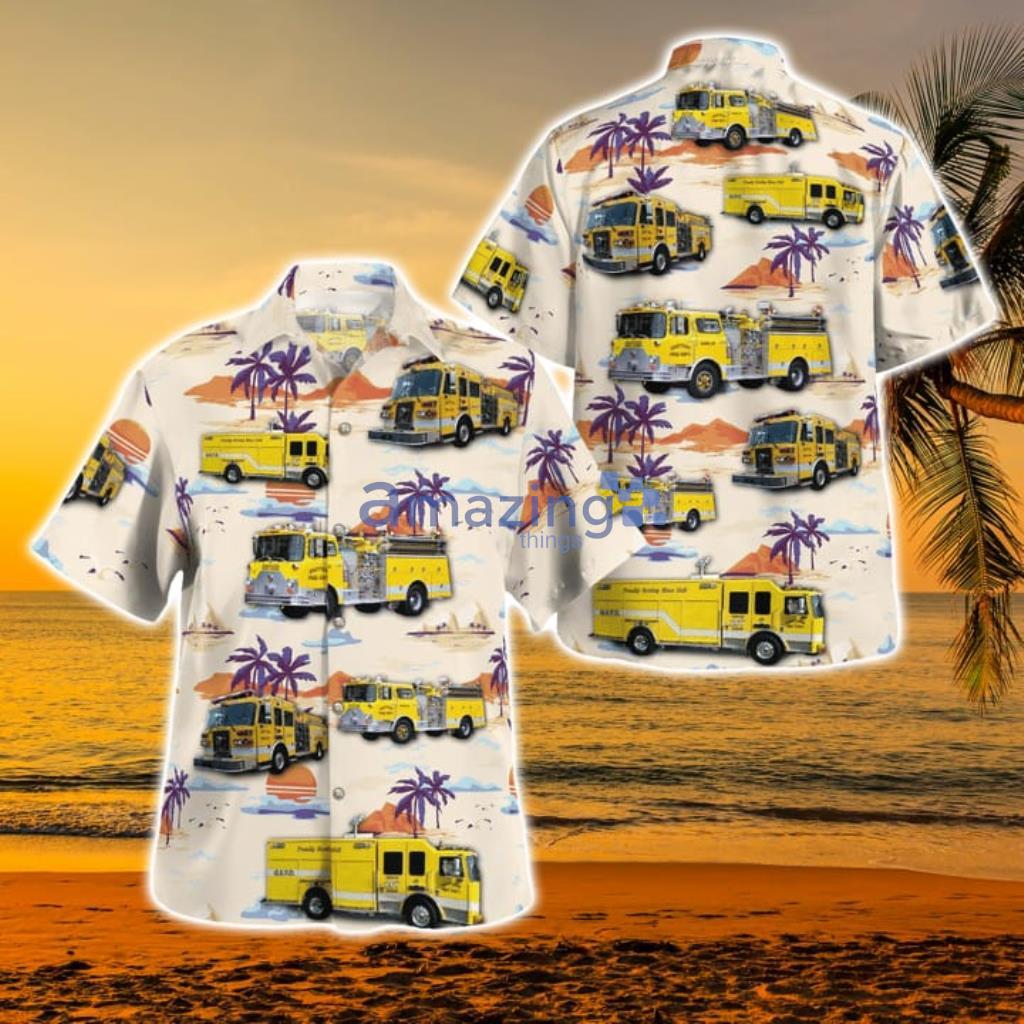 Hscg19 Limited Edition 3D Hawaiian Shirt For Men And Women Product Photo 1