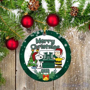 Hawaii Rainbow Warriors Ceramic Ornament Snoopy Christmas Special Gift Product Photo 1
