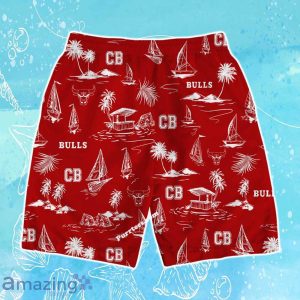 Chicago Bulls Team Logo Beach Vibes Pattern Hawaiian Shirt & Short Product Photo 4