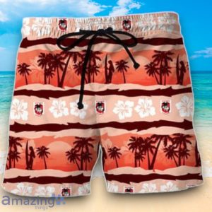NRL St. George Illawarra Dragons Combo Hawaiian Shirt And Shorts Custom Number & Name Trendy Combo For Fans Product Photo 3
