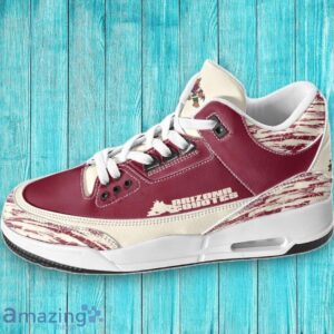 Arizona Coyotes Air Cushion Sports Shoes Best Gift image Arizona Coyotes Air Cushion Sports Shoes Best Gift Product Photo 2
