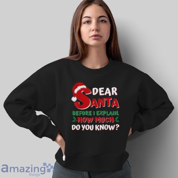 2024 Funny Christmas Shirts Kids Adults Santa I Can Explain T Shirt - Sweatshirt